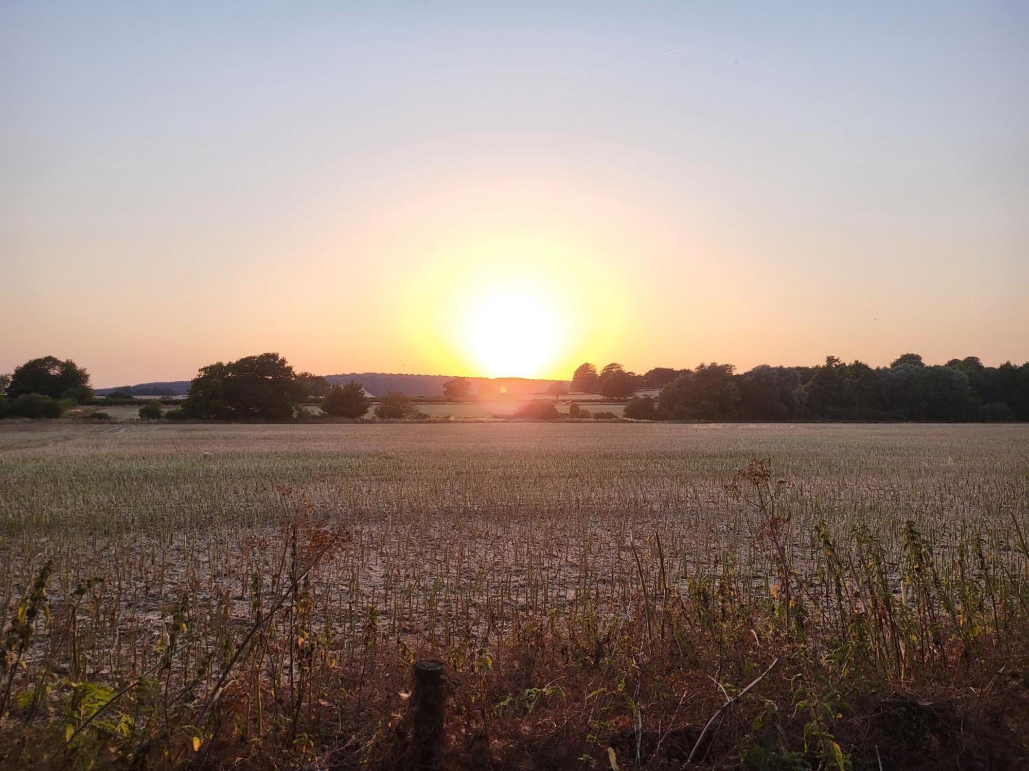 Unique & Rural Child Friendly Annexe With Large Gardens, Games & Tennis Court - Chichester Holiday Properties Exteriör bild