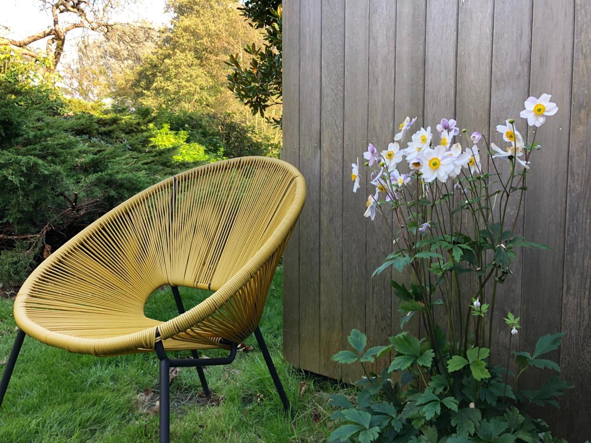 Unique & Rural Child Friendly Annexe With Large Gardens, Games & Tennis Court - Chichester Holiday Properties Exteriör bild