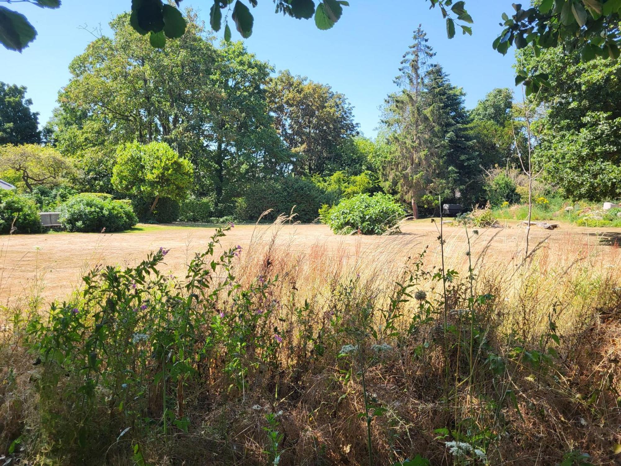 Unique & Rural Child Friendly Annexe With Large Gardens, Games & Tennis Court - Chichester Holiday Properties Exteriör bild