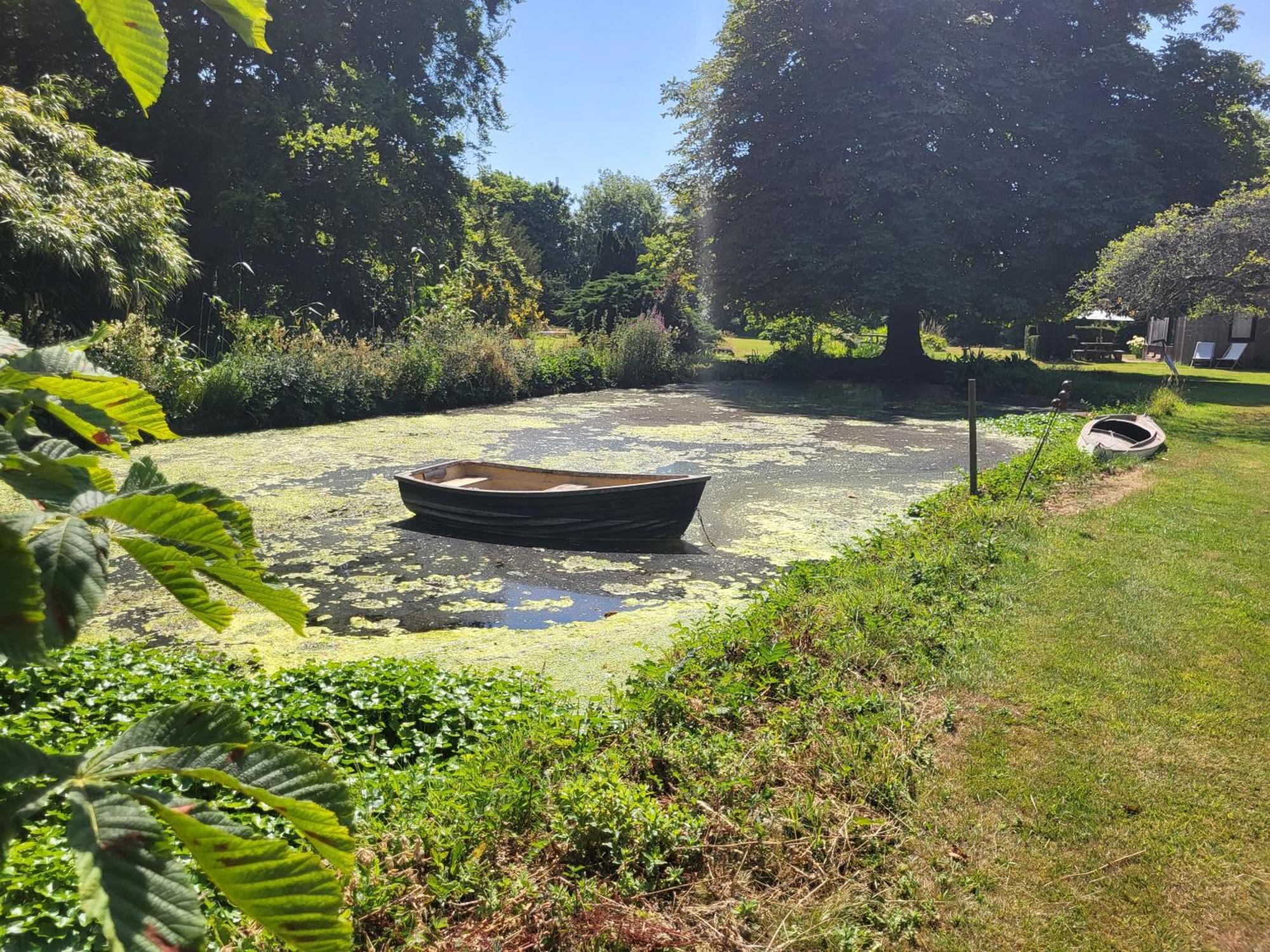 Unique & Rural Child Friendly Annexe With Large Gardens, Games & Tennis Court - Chichester Holiday Properties Exteriör bild