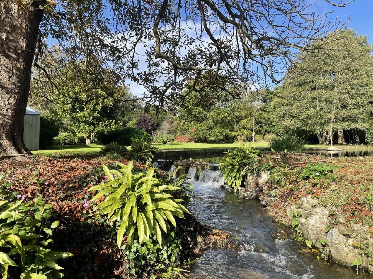 Unique & Rural Child Friendly Annexe With Large Gardens, Games & Tennis Court - Chichester Holiday Properties Exteriör bild