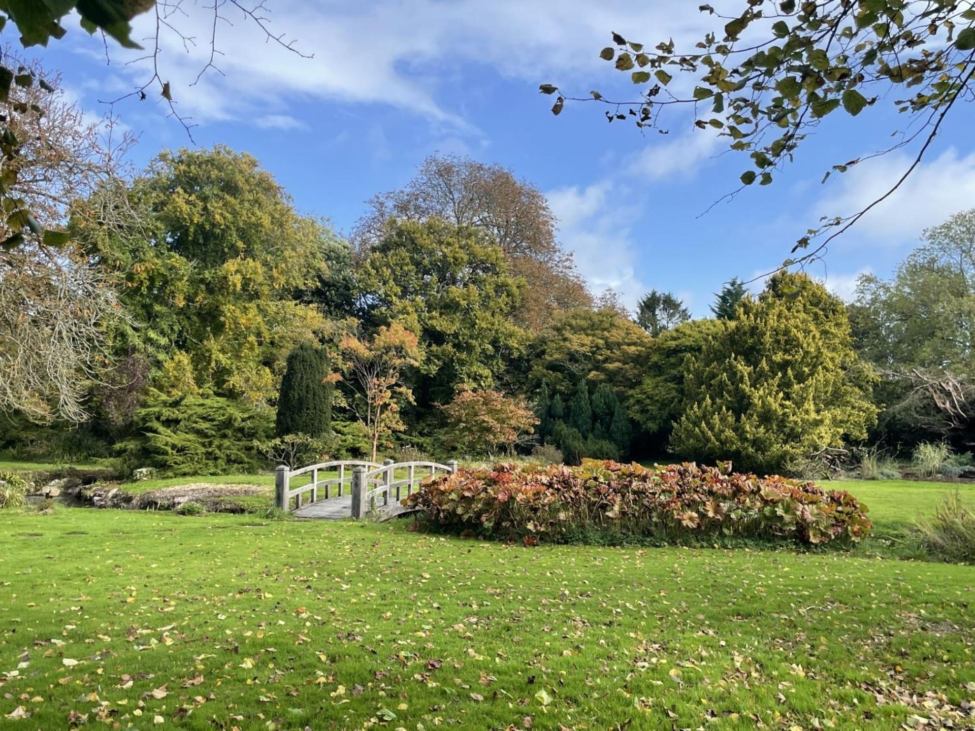 Unique & Rural Child Friendly Annexe With Large Gardens, Games & Tennis Court - Chichester Holiday Properties Exteriör bild