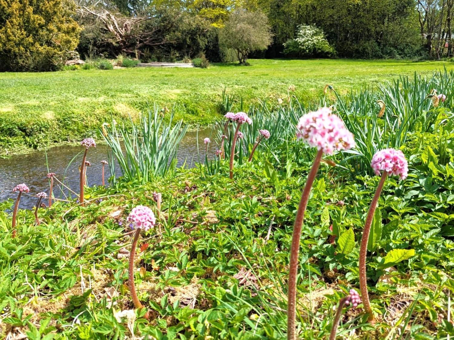 Unique & Rural Child Friendly Annexe With Large Gardens, Games & Tennis Court - Chichester Holiday Properties Exteriör bild